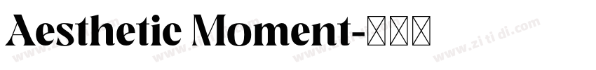 Aesthetic Moment字体转换